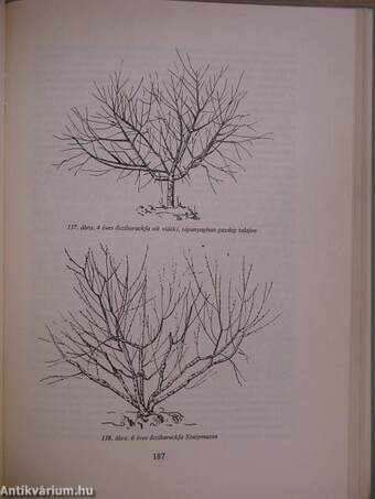 A gyümölcsfák metszésének kézikönyve