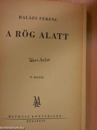 A rög alatt