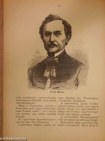 Magyar szabadságharcz története 1848-1849-ben