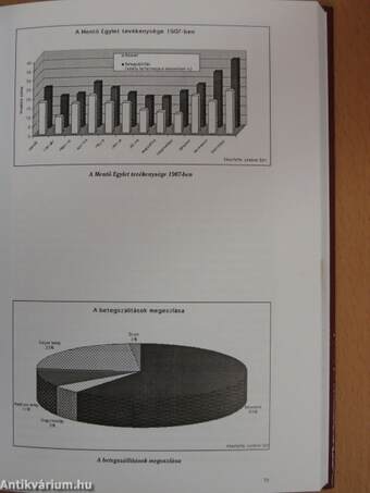 A Szombathelyi Önkéntes Tűzoltó és Mentő Egylet története