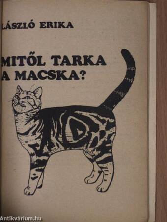 TIT Természettudományi Stúdió téli műsor 1985. január-március