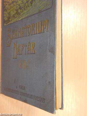 Szanatorium Naptár 1914