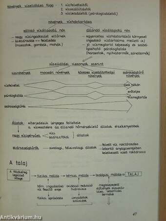 Biológiai összefüggések, logikai vázlatok