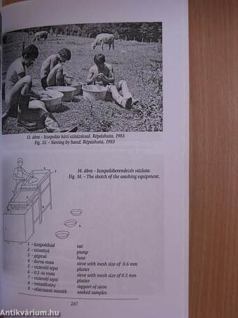 A nógrád megyei múzeumok évkönyve 2003-2004.