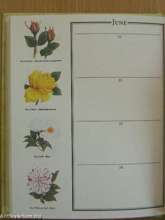 The Floral Day Book