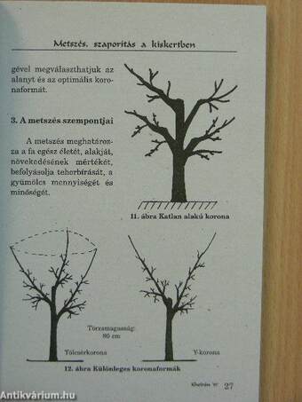 Metszés, szaporítás a kiskertben