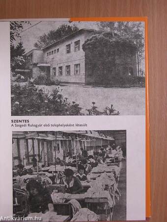 A Szegedi Ruhagyár 40 éve
