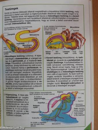 Park-Usborne Biológia Enciklopédia