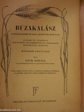 Búzakalász II.