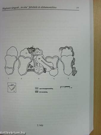 Múzeumi kutatások Csongrád megyében 1995/1996