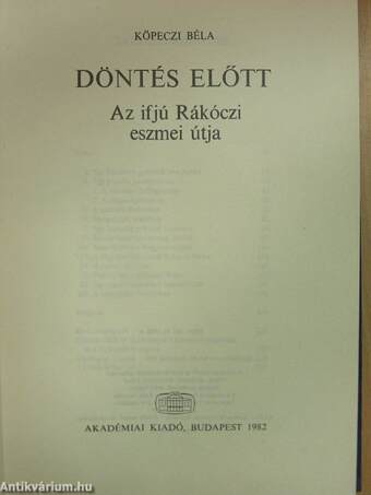 Döntés előtt