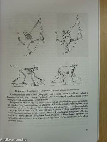 Fejezetek a biológiai antropológiából II.