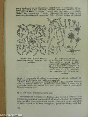 Kiegészítő a Biológia és munkavédelem c. tankönyvhöz