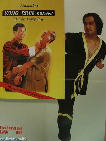 Dinamikus Wing Tsun kungfu