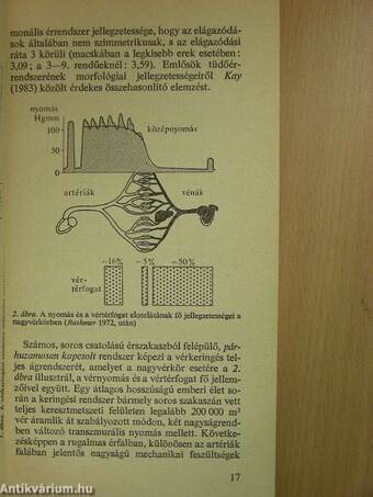 Az érfal biomechanikája