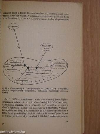 A biológia aktuális problémái 33.