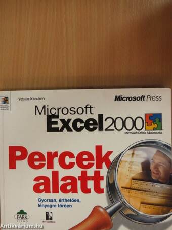 Microsoft Excel 2000