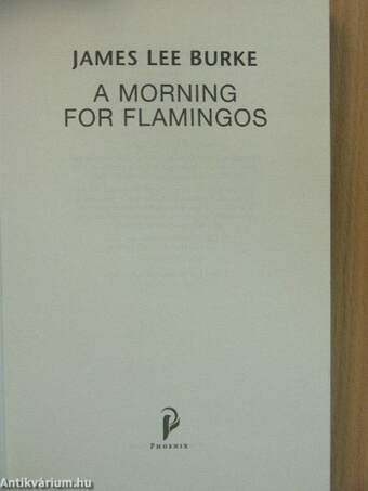 A morning for Flamingos