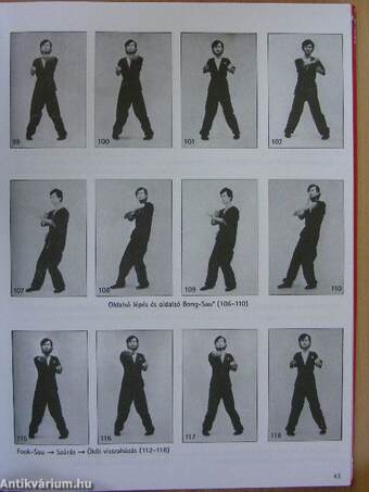 Wing Tsun Kuen 2.