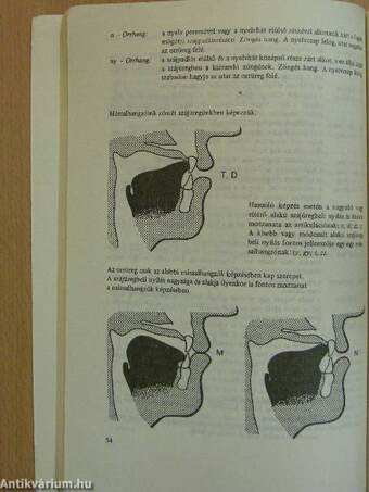 Beszédművelés