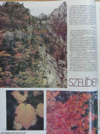 Kertbarát Magazin 1988. ősz-tél