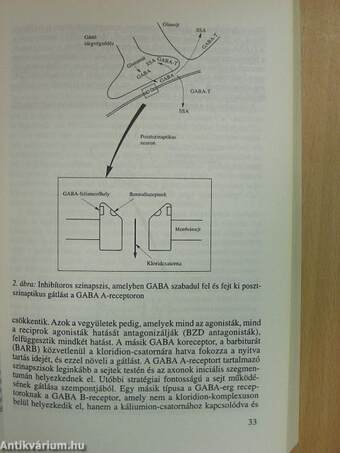 Epilepsziás tünetegyüttesek