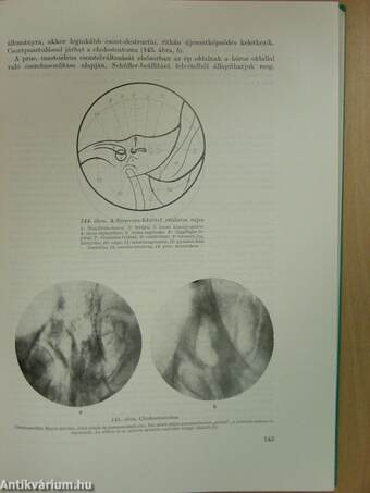 A radiologia alapvonalai