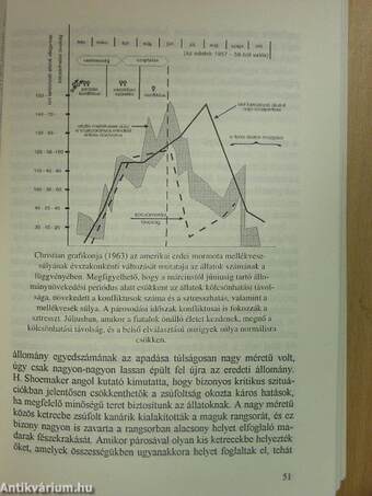 Rejtett dimenziók