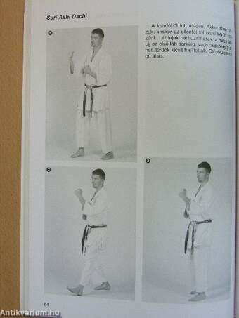 Goju-Ryu Karate-Do