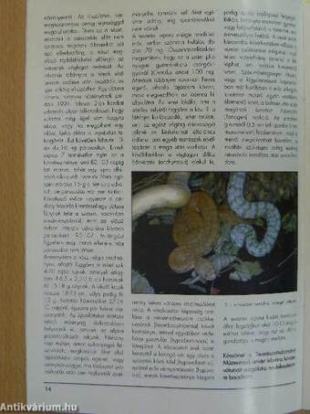 Akvárium Magazin 1996/9-10.