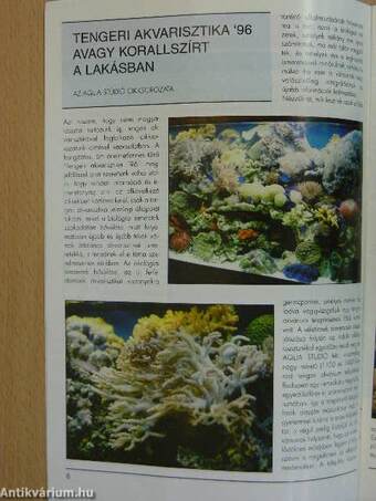 Akvárium Magazin 1996/11-12.