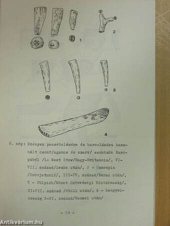 Múzeumi levelek 49-50.