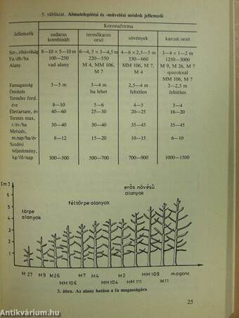 Gyümölcstermesztés III.