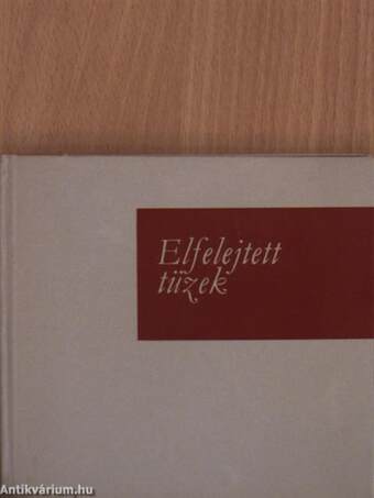 Elfelejtett tüzek