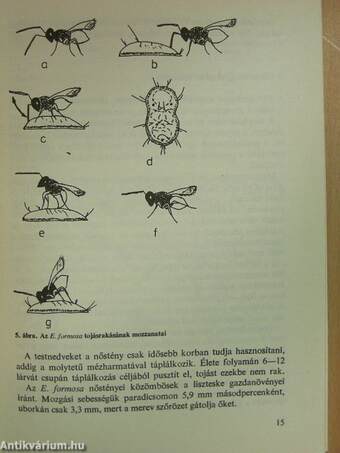 Fürkészdarazsak a növényházakban