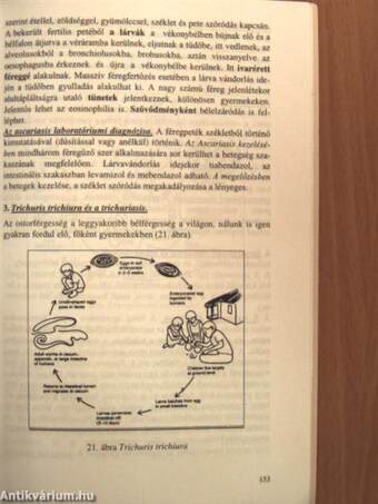 Orvosi mikrobiológia