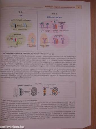 Immunológia