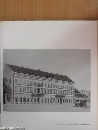 A Budapesti Orvostudományi Egyetem jubileumi évkönyve 1769-1969