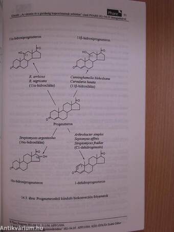 Mikrobiális biotechnológia