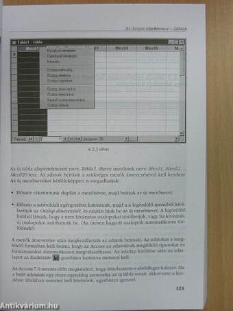 Adatkezelés az MS ACCESS 7.0 alkalmazásával