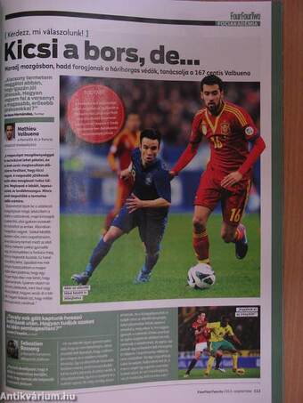 FourFourTwo 2012-2013. (nem teljes évfolyamok)