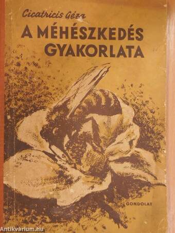 A méhészkedés gyakorlata