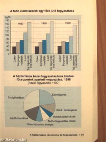 Magyar statisztikai zsebkönyv '99