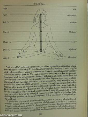 A Rádzsa-Jóga művészete és tudománya