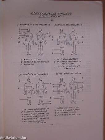 Bőr- és nemibetegségek sajátosságai és alapellátási irányelvei a hadseregben