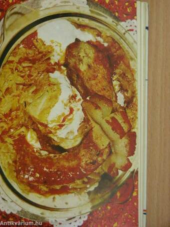 Hungarian Cookery Book