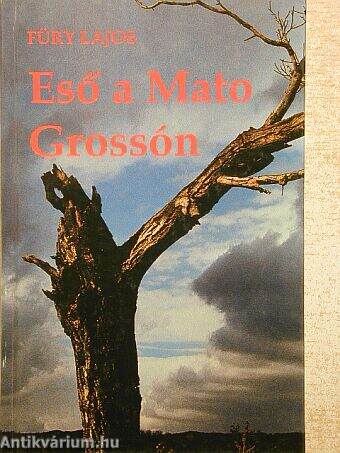 Eső a Mato Grossón