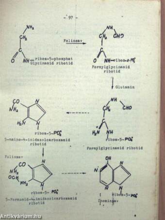 Vitaminok