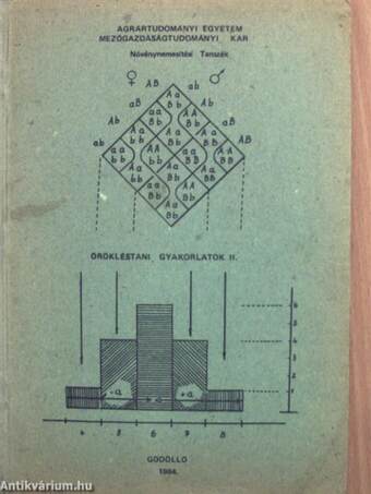 Örökléstani gyakorlatok II.