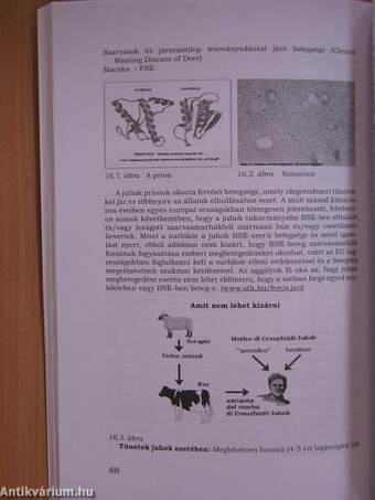 A juhágazat helyzete, kilátásai és fejlesztési lehetőségei